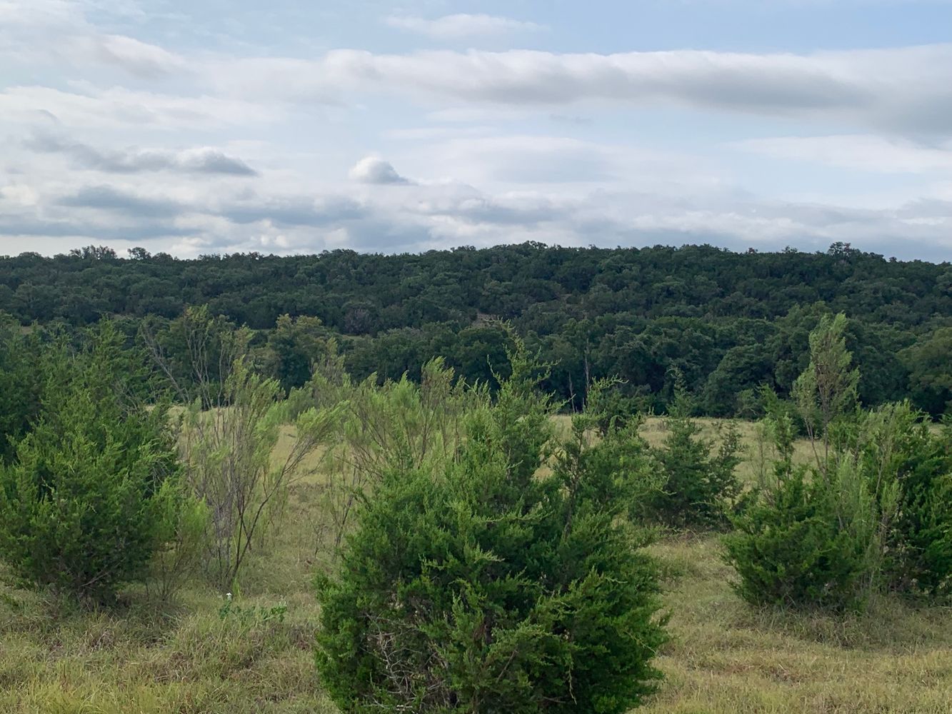 part of edmond ranch: 000 FM 32, Blanco, TX 78606